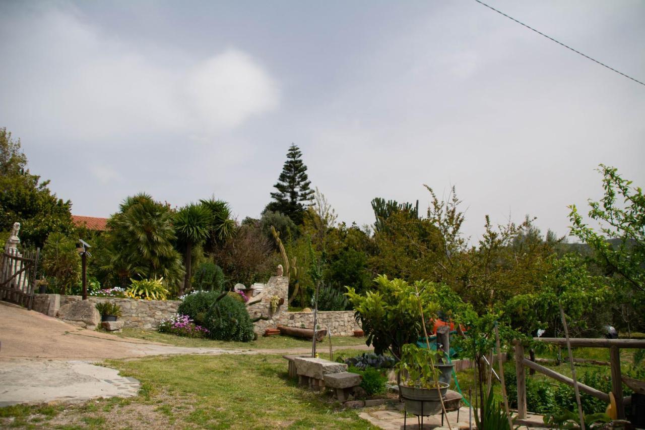 B&B Il Giardino Arbus Buitenkant foto
